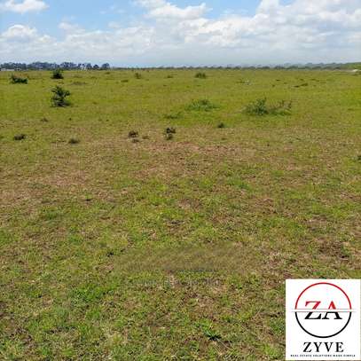 0.125 ac Land at Subukia - Kanyotu - Marana - Nairobi Estate image 8