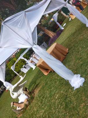 Use canopy for your outdoor events image 1