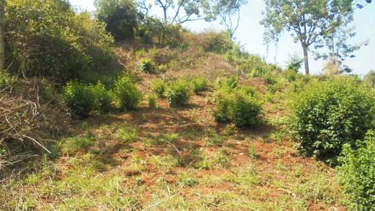 6.3 ac Land in Nyeri image 3