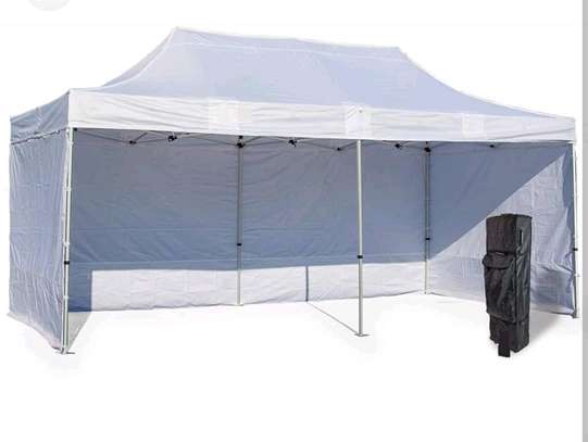 Foldable Canopy tent/gazebo tent image 1