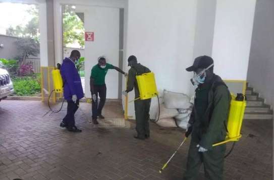 sofa cleaning and fumigation services image 3