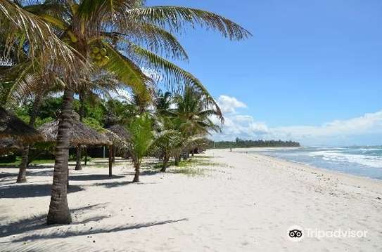 Commercial Land in Diani image 8
