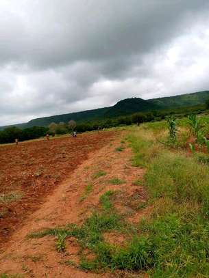 1000 acres for lease along river in kibwezi makueni county image 3
