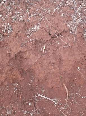 5 Acres red soil land for sale image 4