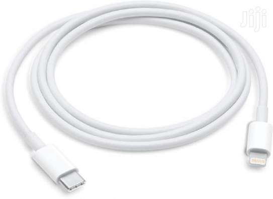 USB- C to lightning cable image 1