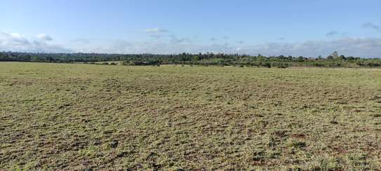 30 ACRES PROPERTY FOR SALE IN NAROMORU WITH A RIVER FRONTAGE image 8