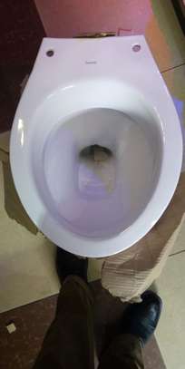 Twyford. P-Trap toilet image 2