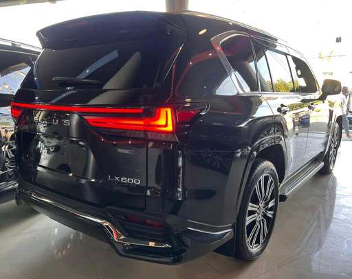 Lx600 model 2024 image 7