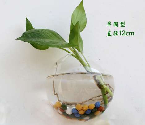 Wall Mounted Hydroponic Glass Vase Plant Terrarium image 5