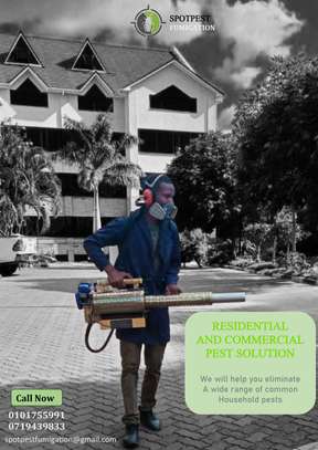 Pest control and Fumigation image 3