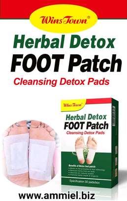 Wins Town Herbal Detox FOOT Patch 30 Pads image 1