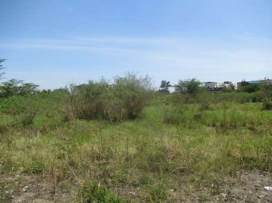 23,796 m² Commercial Land at Nyasa Road image 10