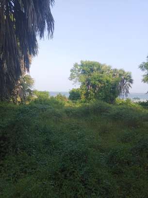 Land at Nyali image 7