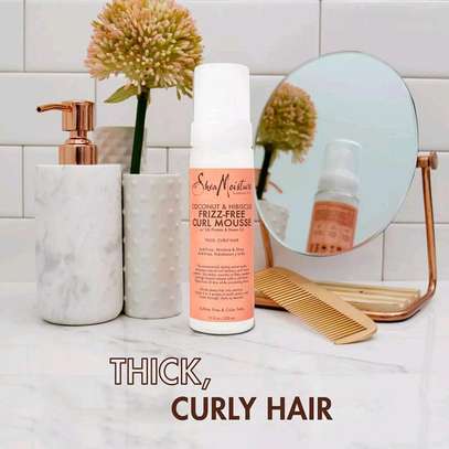 SheaMoisture Coconut & Hibiscus Frizz-Free Curl Mousse image 1