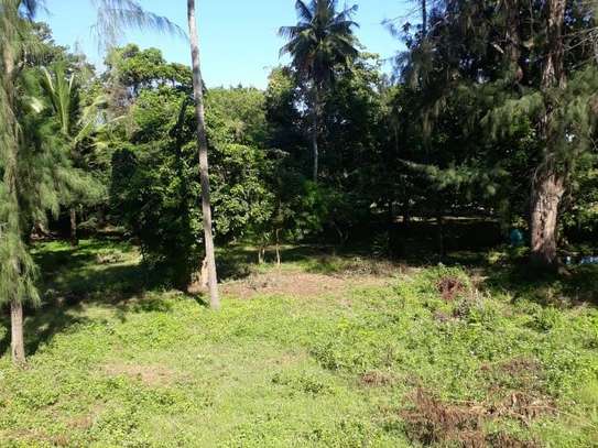 1012 m² commercial land for sale in Kikambala image 4