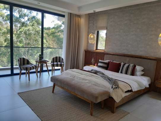 4 Bed Apartment with En Suite in Spring Valley image 7
