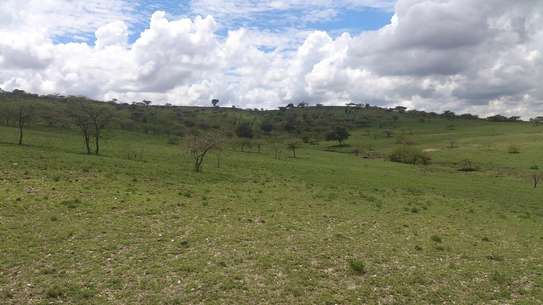3 ac Land at Acacia Road image 8