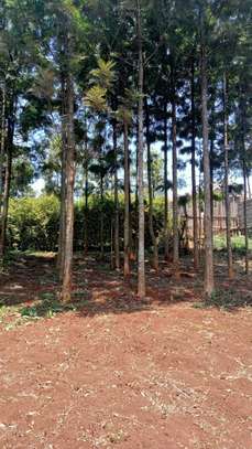 land for sale in Ruaka image 6