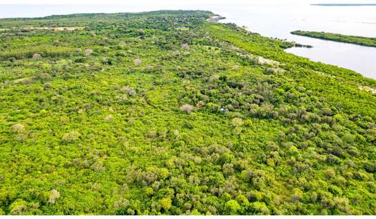 Residential Land in Diani image 1