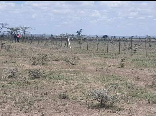 Favorite Gardens Nanyuki image 2