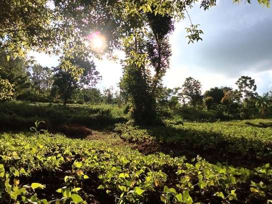 4 ACRES-MURANG'A COUNTY image 3