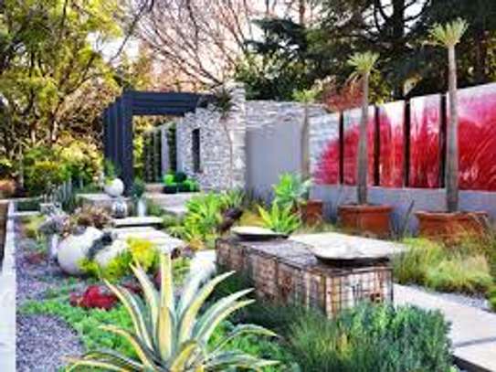 Best Landscaping & Gardening Services-Nakuru Experts image 6