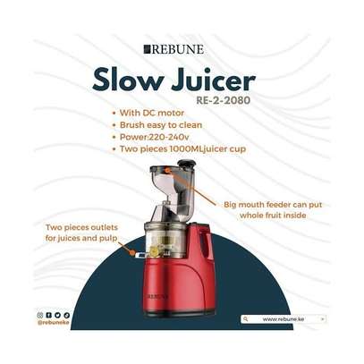 Slow Juicer image 1
