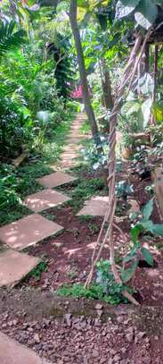 10 Bed House with En Suite at Milimani image 12