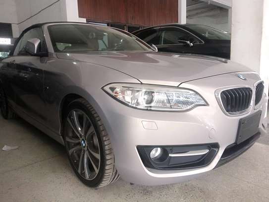 BMW 220i 2 series over view image 5