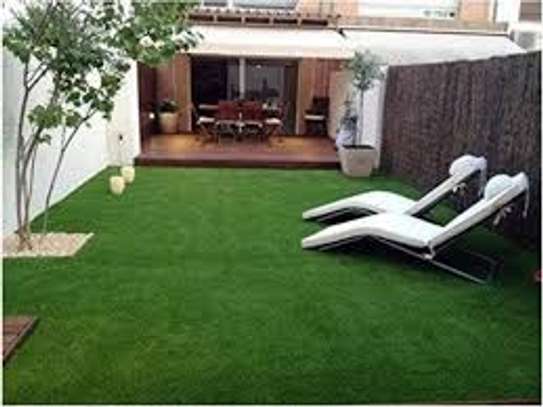 beautiful carpet grass image 2