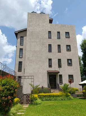 Ngong vet, 4 bedrooms mini apartment for rent. image 3