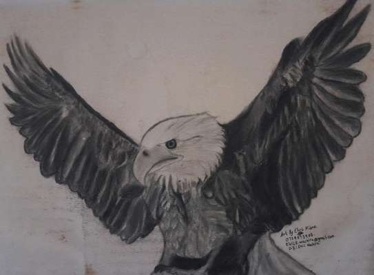 My A4 size art on an eagle. image 2