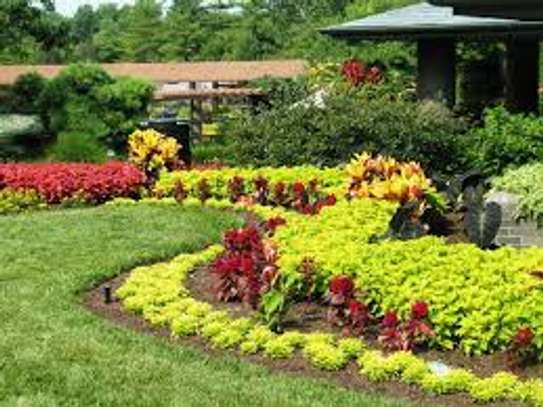 Expert Landscaping & Gardening Services  for Estate & Individual Homes image 7