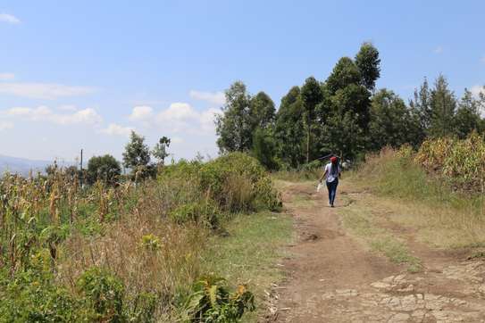 50*100 Land For Sale In Nakuru image 4