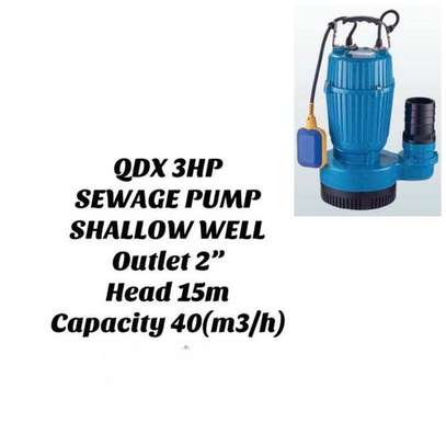 Premier 3HP Sewage Pump Shallow Well 2" Outlet 15M image 1