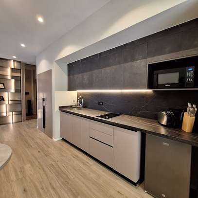 Furnished Studio Apartment with En Suite at Red Hill Road image 12