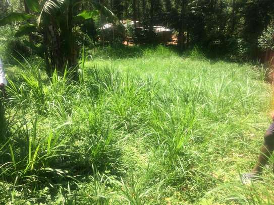 0.41 Acres prime Land For Sale in Malava, Kakamega County image 5