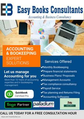 Accounting and Bookkeeping Services, Accounting Software image 1