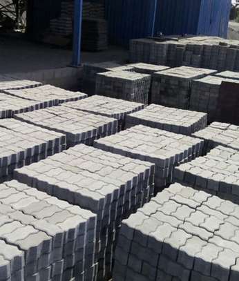 S Shape 60mm Cabro Blocks In Kenya image 1