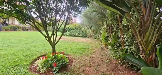 5 Bedroom House for Rent in Karen Nairobi Kenya image 6