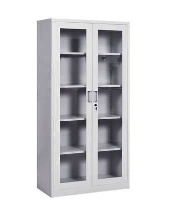 Office Cabinet:  2-Door Full Glass Metallic Office Cabinet image 2