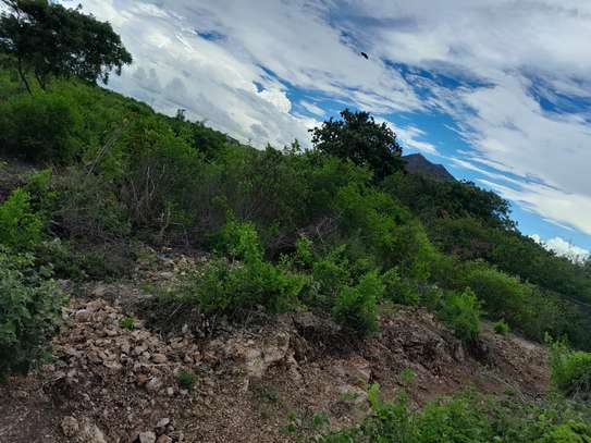 Land in Malindi image 7