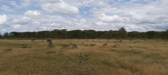 AN EXPANSIVE 4200 ACRES RANCH FOR SALE IN LAIKIPIA COUNTY image 1