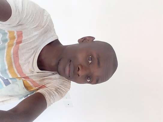 Painter  and Glass fixer image 2