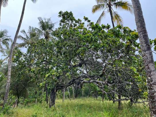 Land in Kilifi image 5