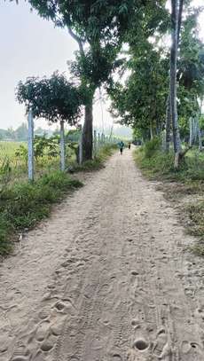 15 ac Land at Bomani image 4