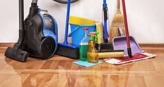 Bestcare Apartment Cleaning,& Domestic Services. image 1