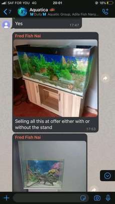 Large fish tank for sale image 1