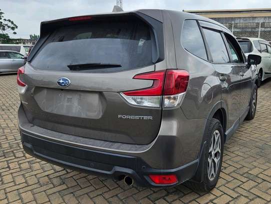 Subaru Forester GREY 2018 image 1
