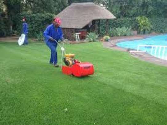 Garden Service & Landscaping - Hedge cutting services image 1
